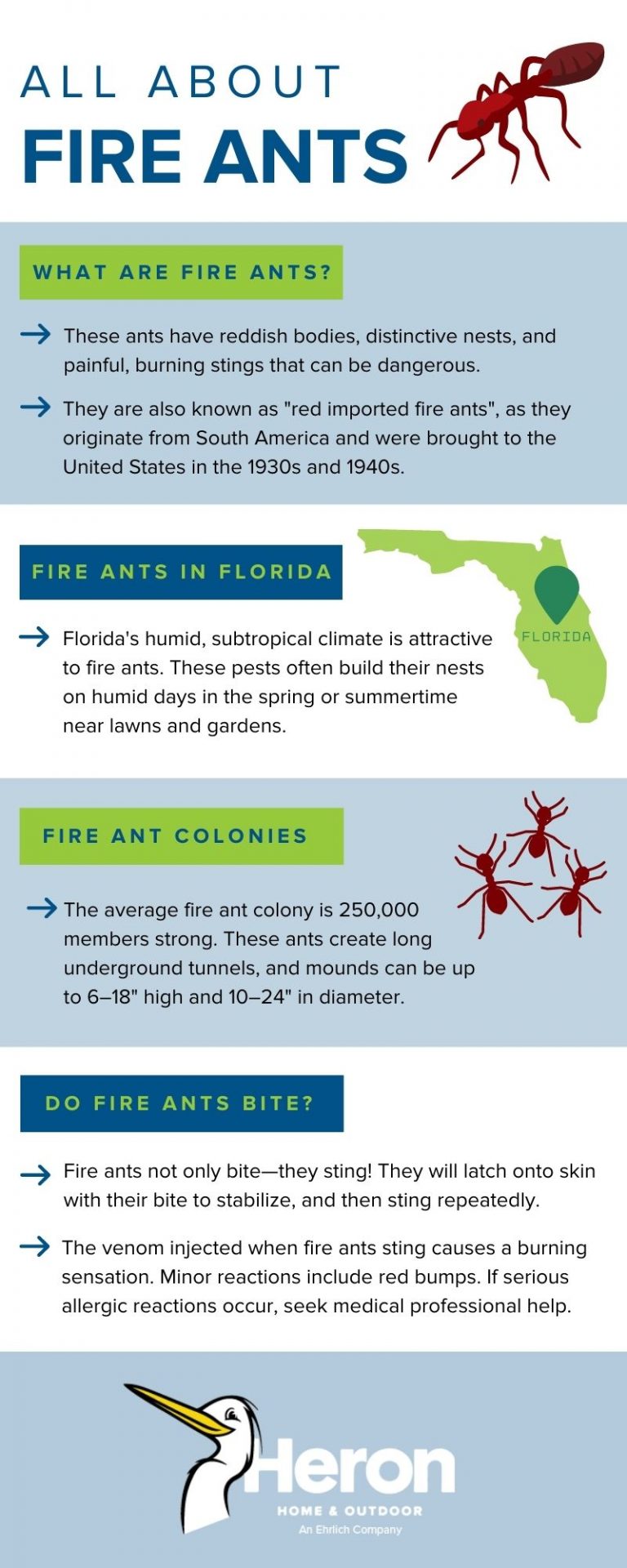 What To Know About Fire Ants - Heron Home & Outdoor - Central FL